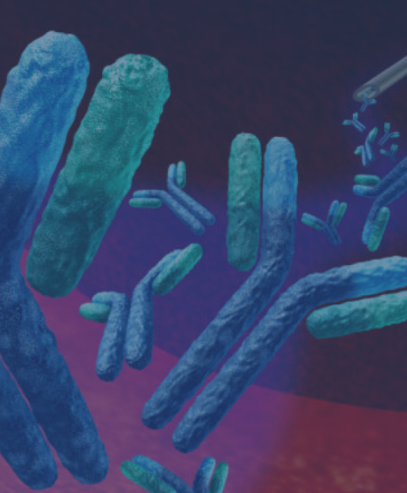 Precision Antibody