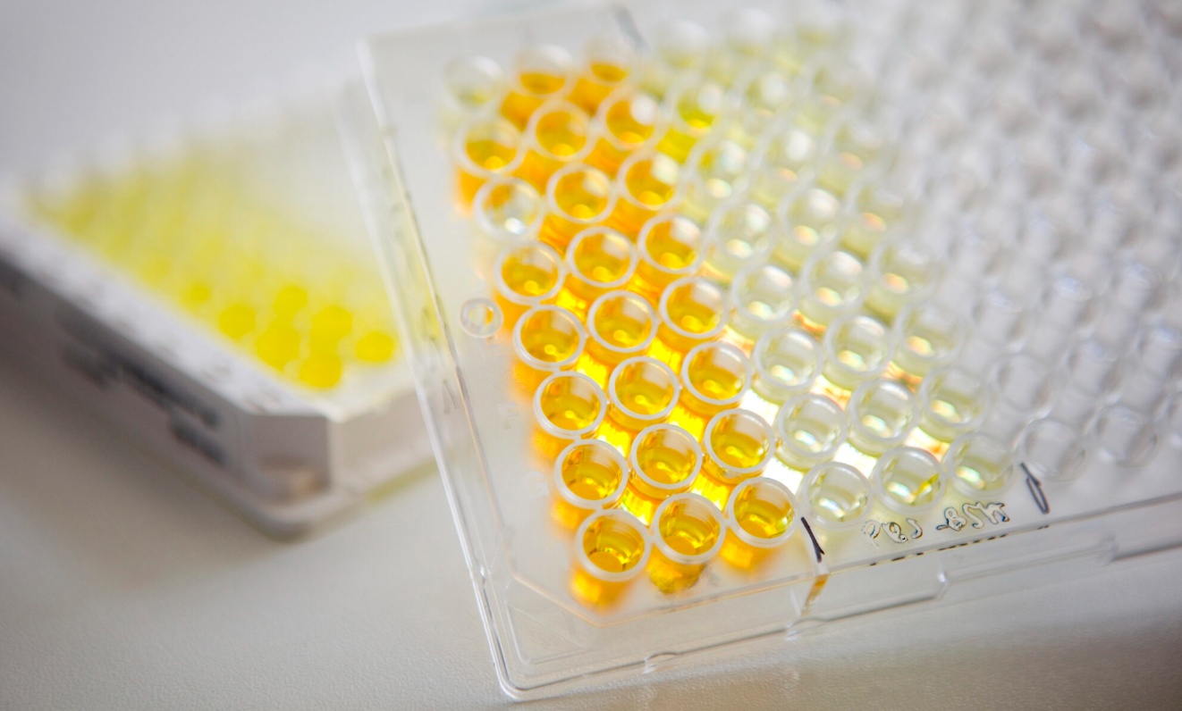 RD-Biotech