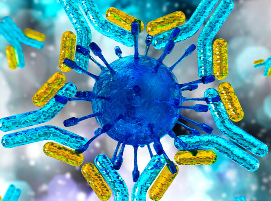 Precision Antibody