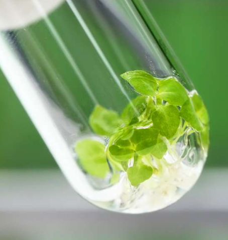 Biosupplies