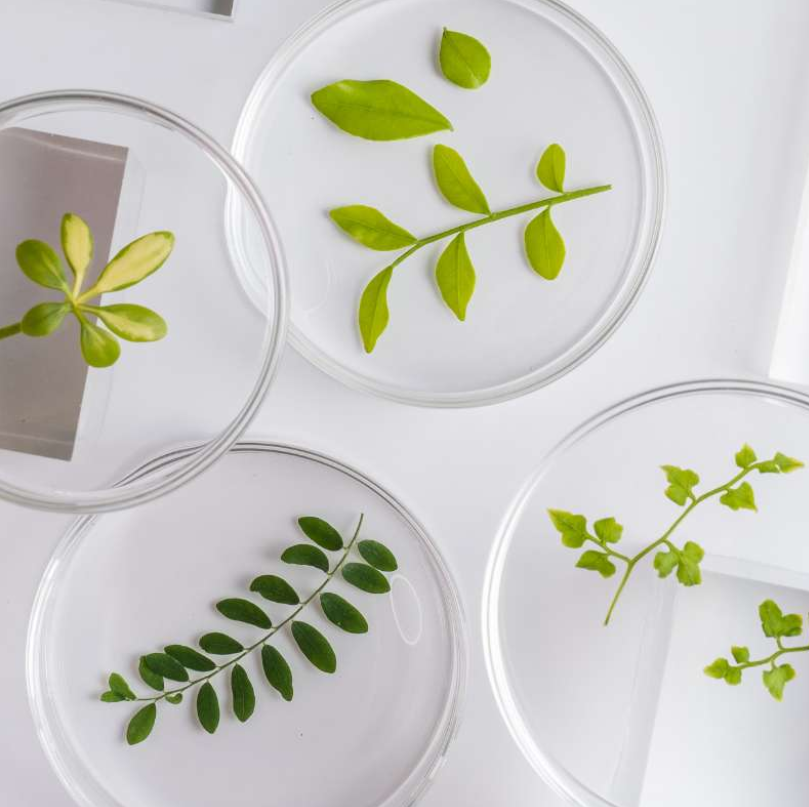 Biosupplies