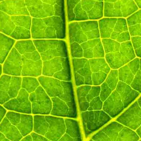 Biosupplies
