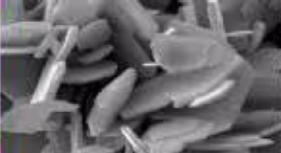 SkySpring NanoMaterials