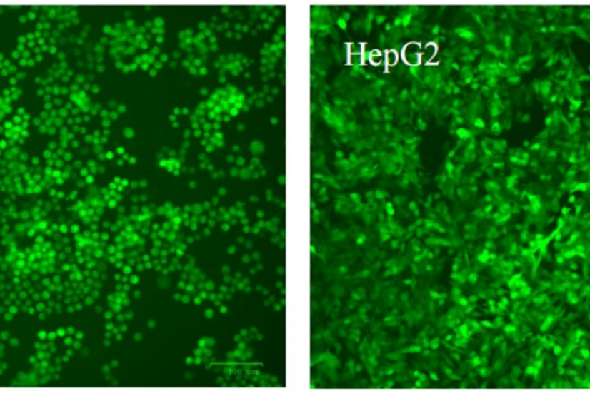 PreciGenome