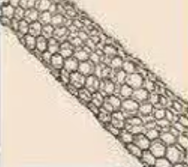 US Research NanoMaterials