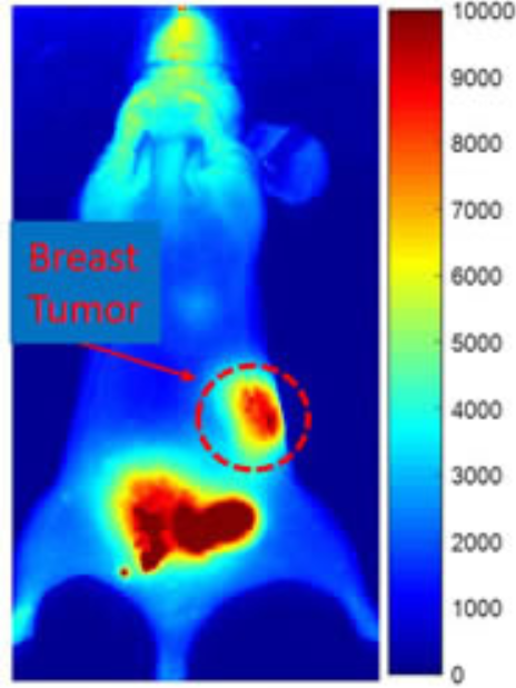 NanoPartz
