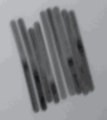 NanoPartz