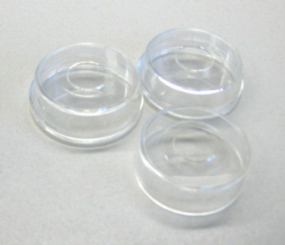 dish_bottom01.jpg