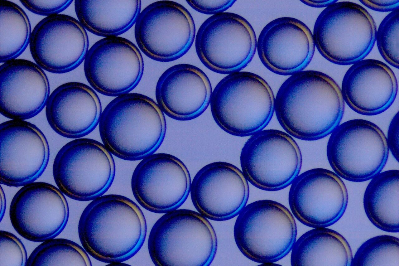 Rapp Polymere