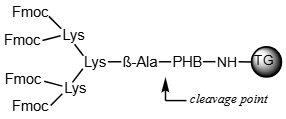 Rapp Polymere