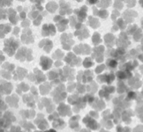 Micromod Partikeltechnologie