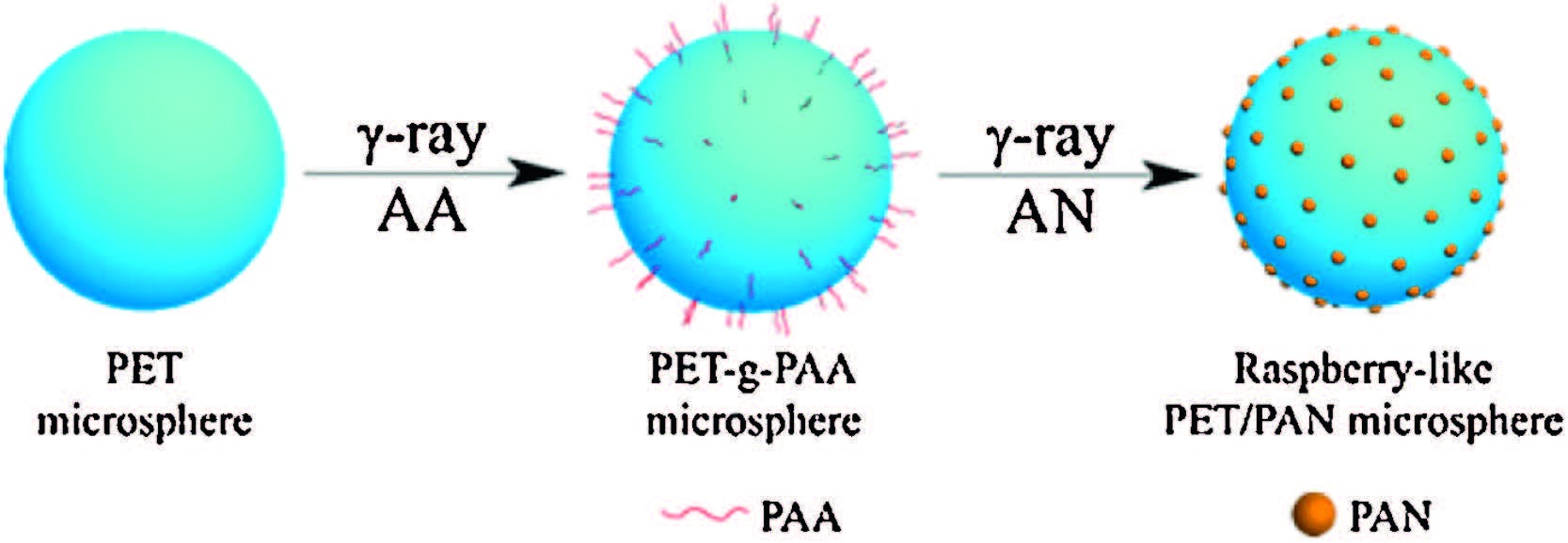 Polyethylene Terephthalate，PET