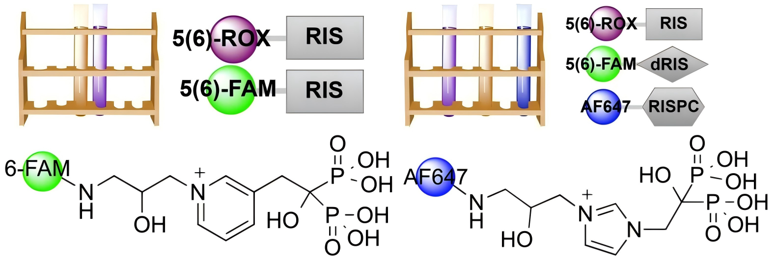 BioVinc